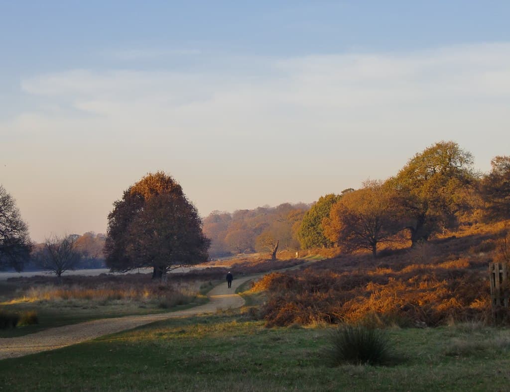 A view of Richmond upon Thames