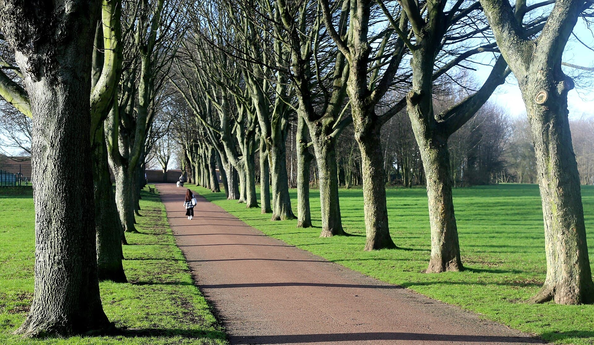 A view of Rotherham