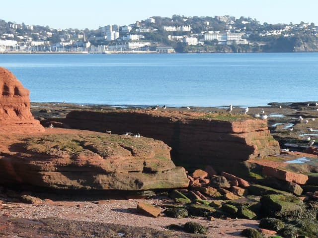 A view of Torbay